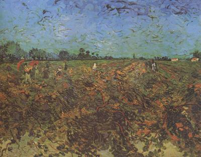 Vincent Van Gogh The Green Vineyard (nn04)